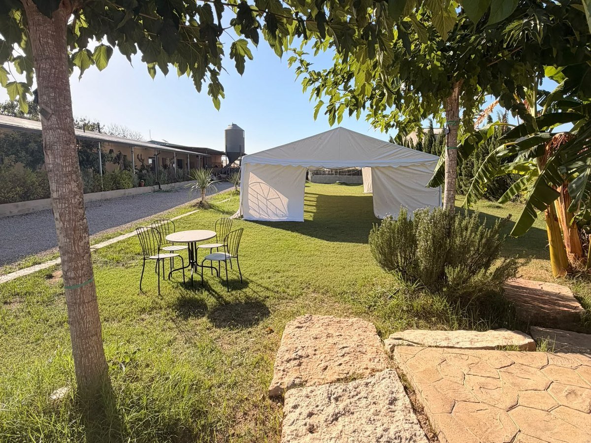 Carpa blanca montada sobre el césped del jardín, con mesa y sillas a la sombra de los árboles
