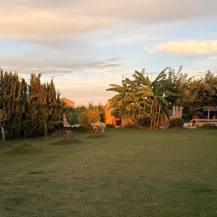 Jardín de la finca Knattur al atardecer, con cipreses y palmeras teñidos de luz dorada