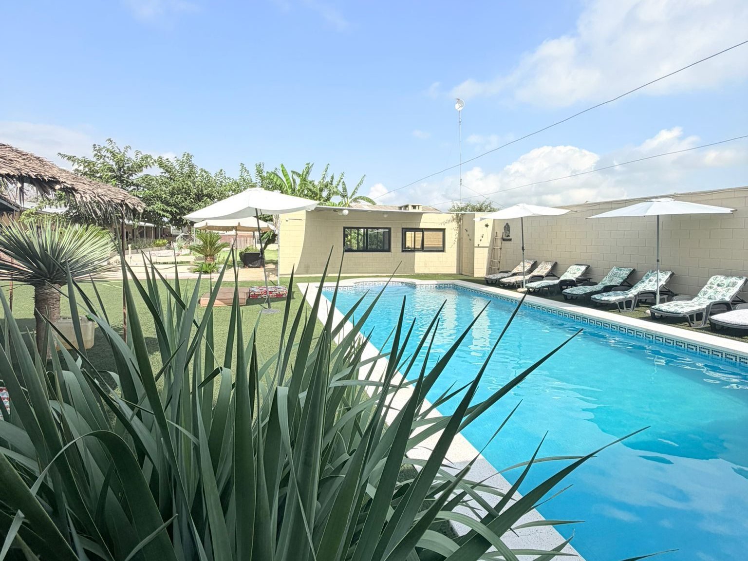 Piscina con tumbonas y sombrillas un día de verano en la finca Knattur